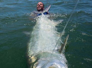 angola fishing packages|The 10 BEST Fishing Charters in Angola from US $500 (Spring .